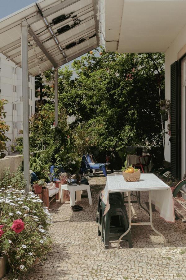 Coimbra Erasmus House - Guest House Exteriér fotografie